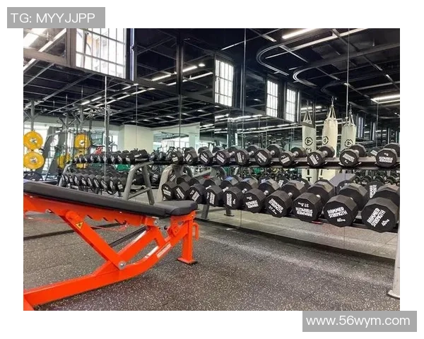 赵娜独家分享篮球心得与技巧助你提升球技的全面指南